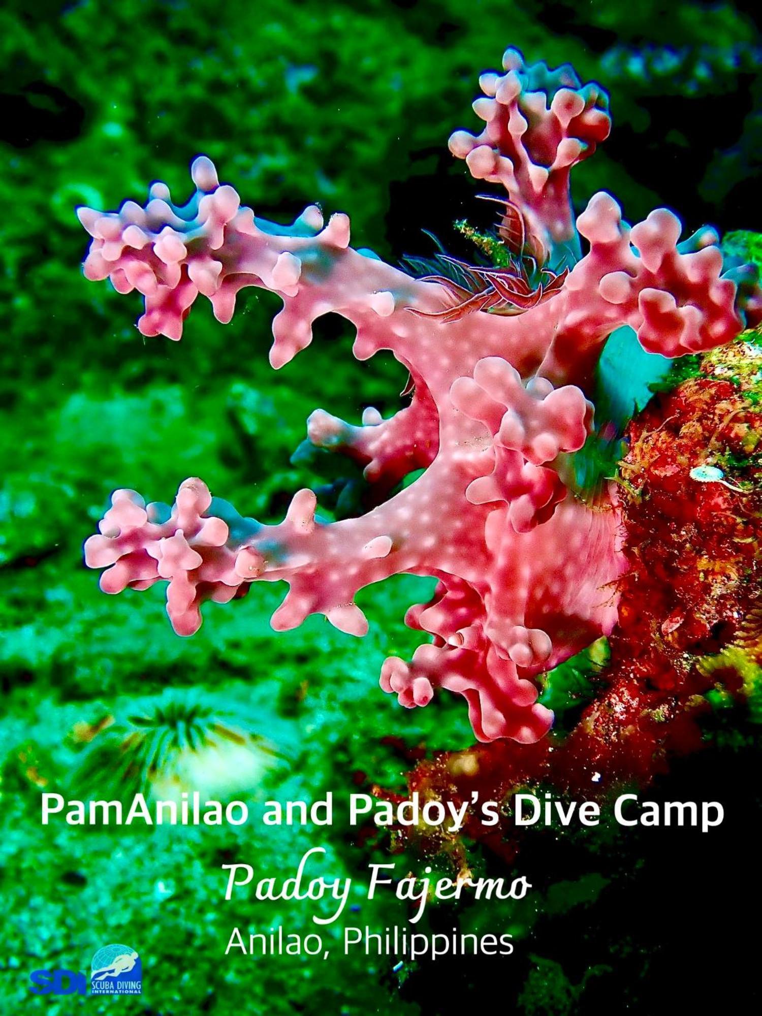 Pamanilao And Padoy'S Dive Camp Hotel Batangas Exterior foto