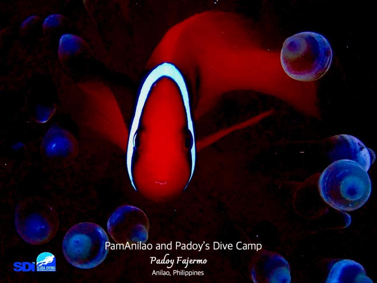 Pamanilao And Padoy'S Dive Camp Hotel Batangas Exterior foto